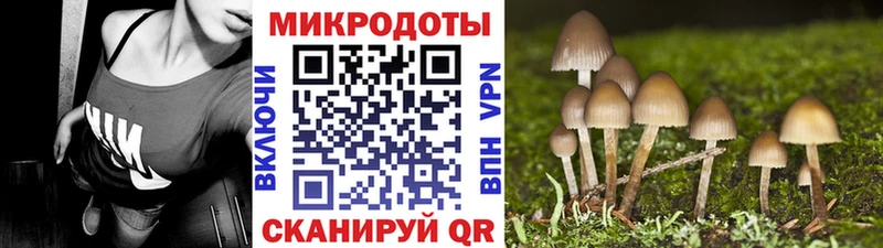 Псилоцибиновые грибы Magic Shrooms  Жирновск 