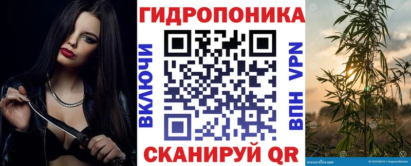 Бошки Шишки конопля  Жирновск 